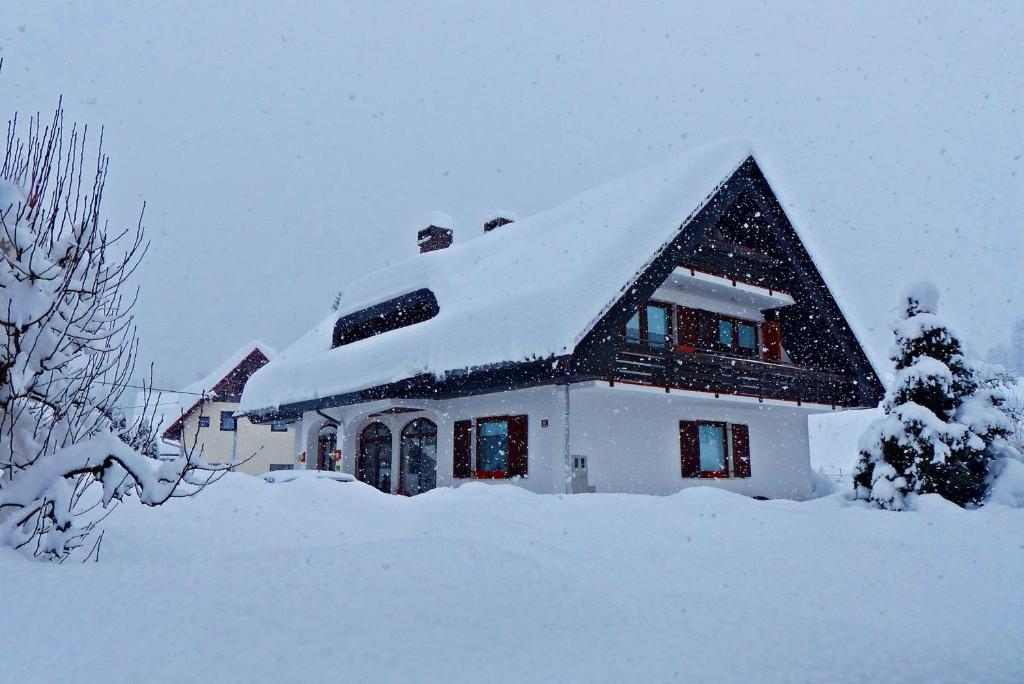 Guest House Alenka Bohinji-tó Kültér fotó