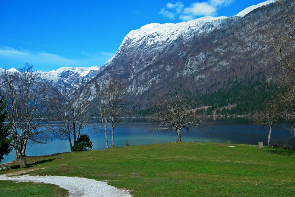 Guest House Alenka Bohinji-tó Kültér fotó