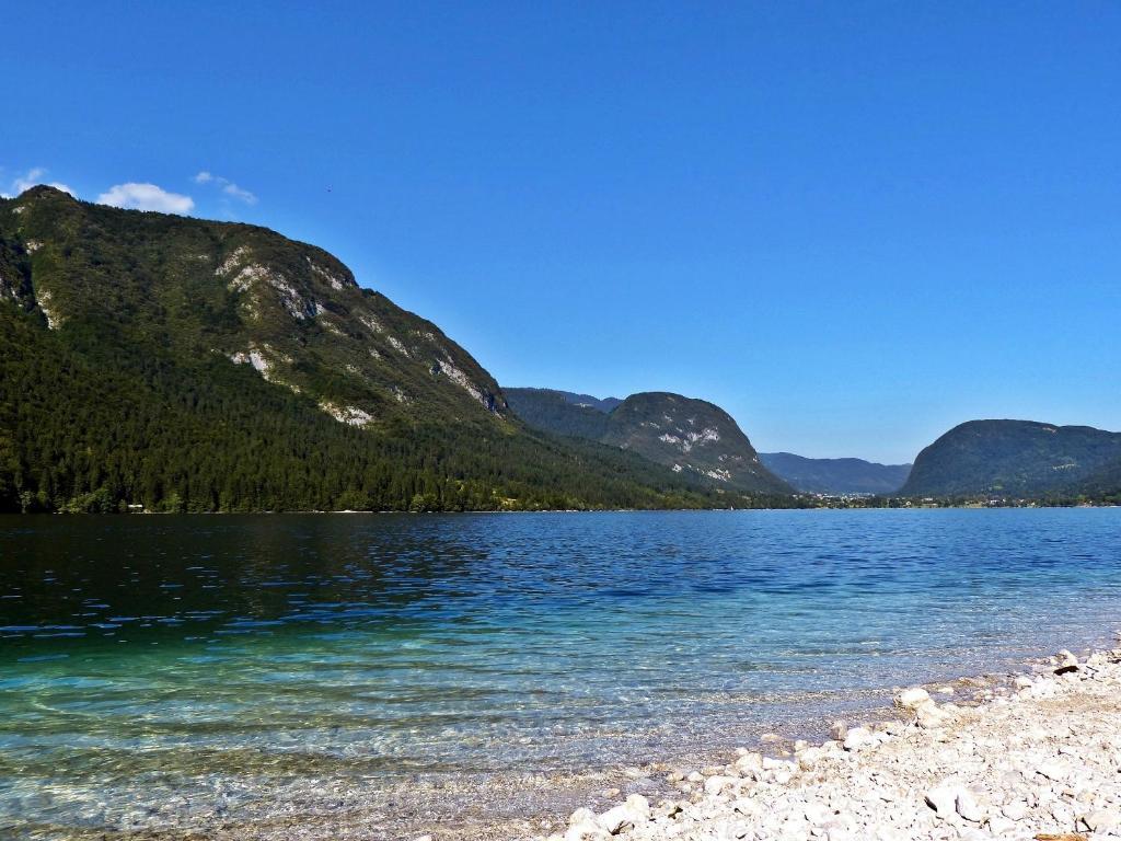 Guest House Alenka Bohinji-tó Kültér fotó